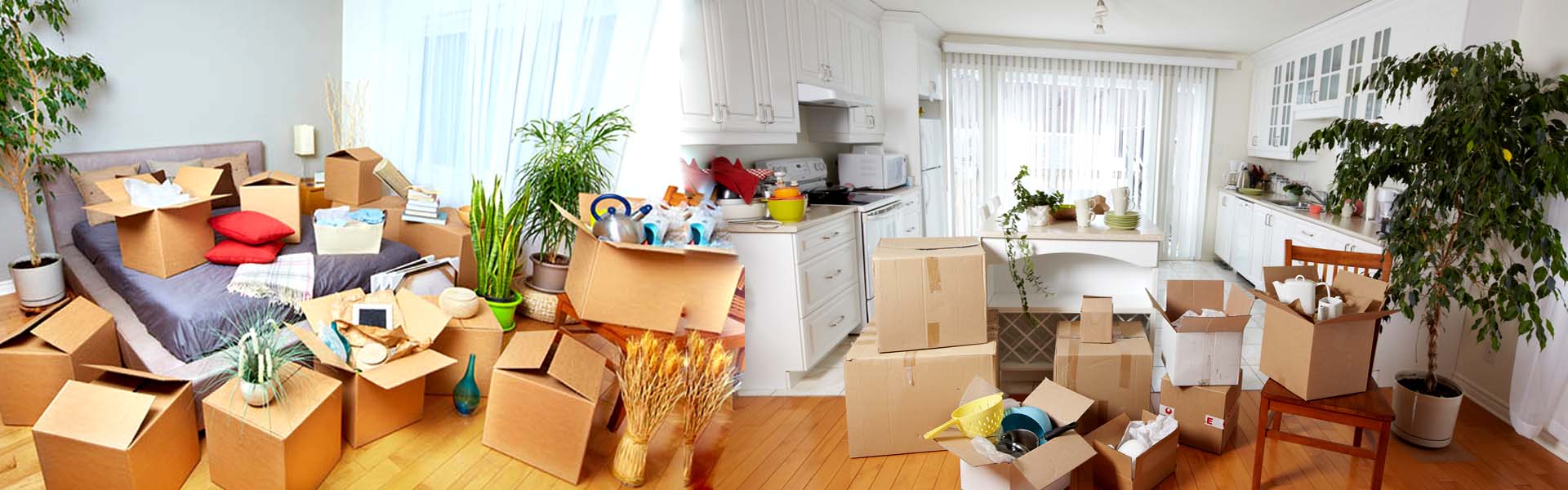 slide4 slider4